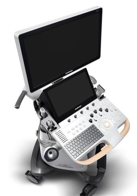 Good price Diagnostyczny system ultradźwiękowy Color Doppler Wbudowany moduł EKG P60 w Internecie